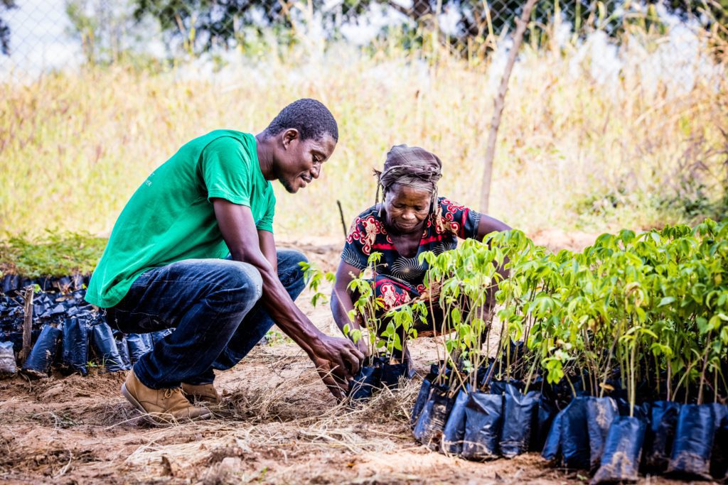 Opmeer-ghana-tree-aid