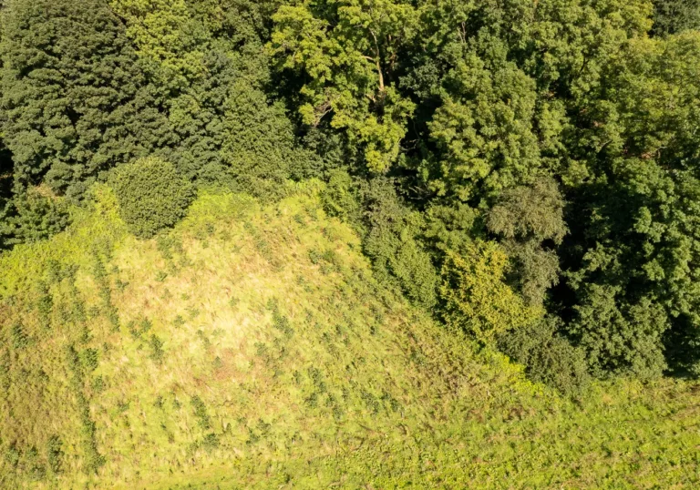 Provincie Limburg