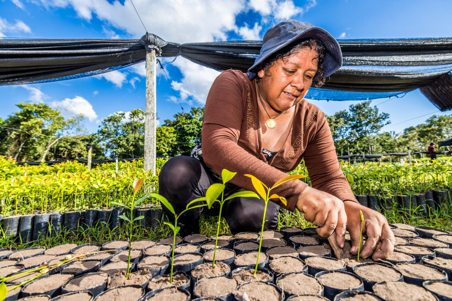 arbolivia-trees-for-all