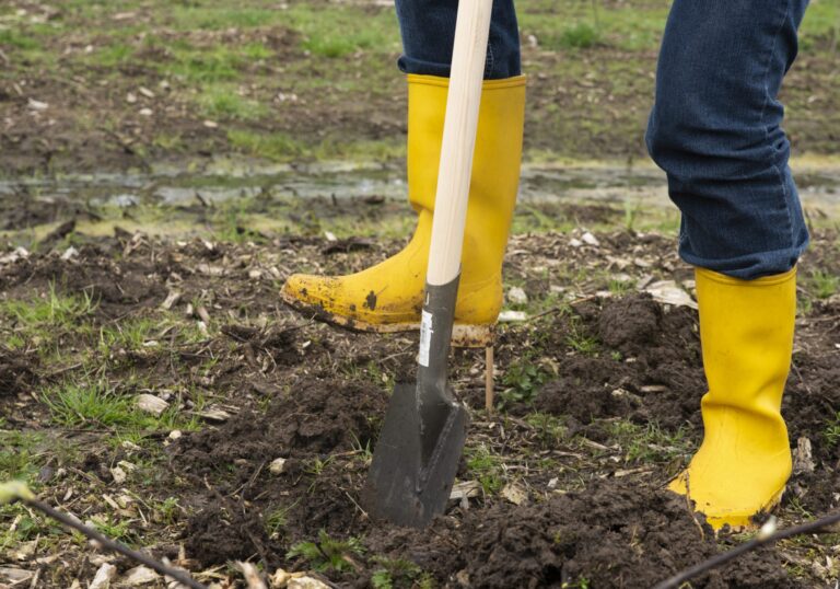 Plant trees per product or service