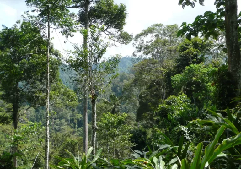 Malaysia