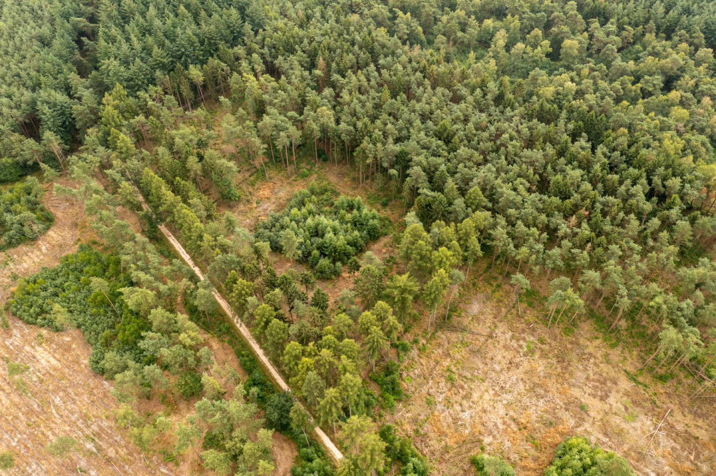 Overijssel-luchtfoto-1