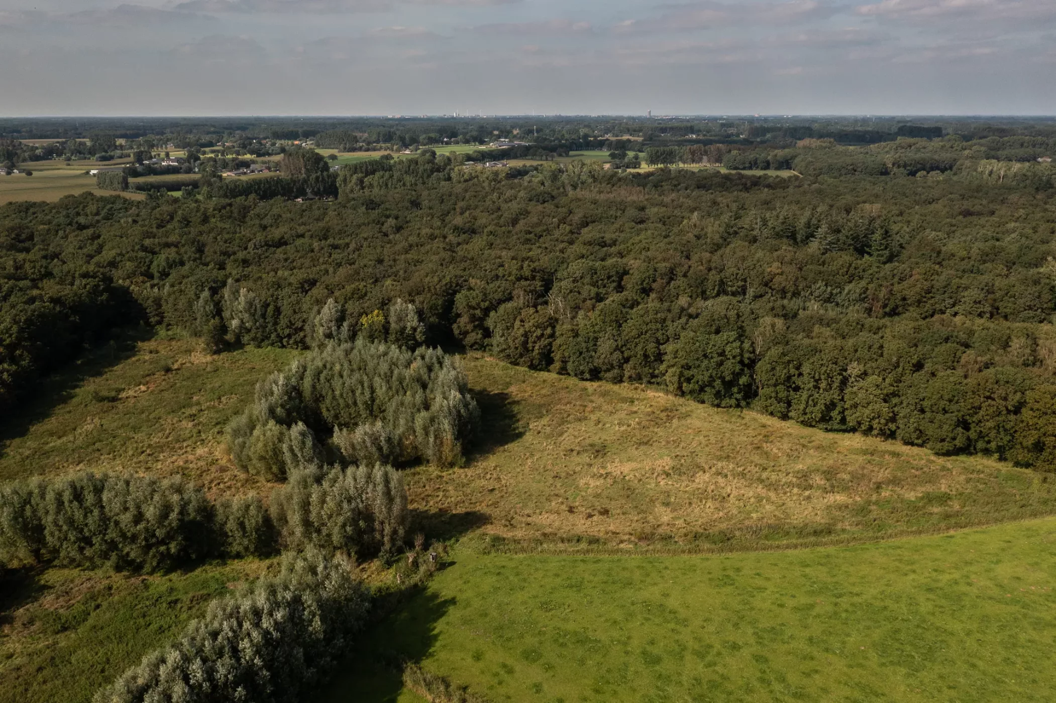 dji_0239 Groene-Woud-luchtfoto