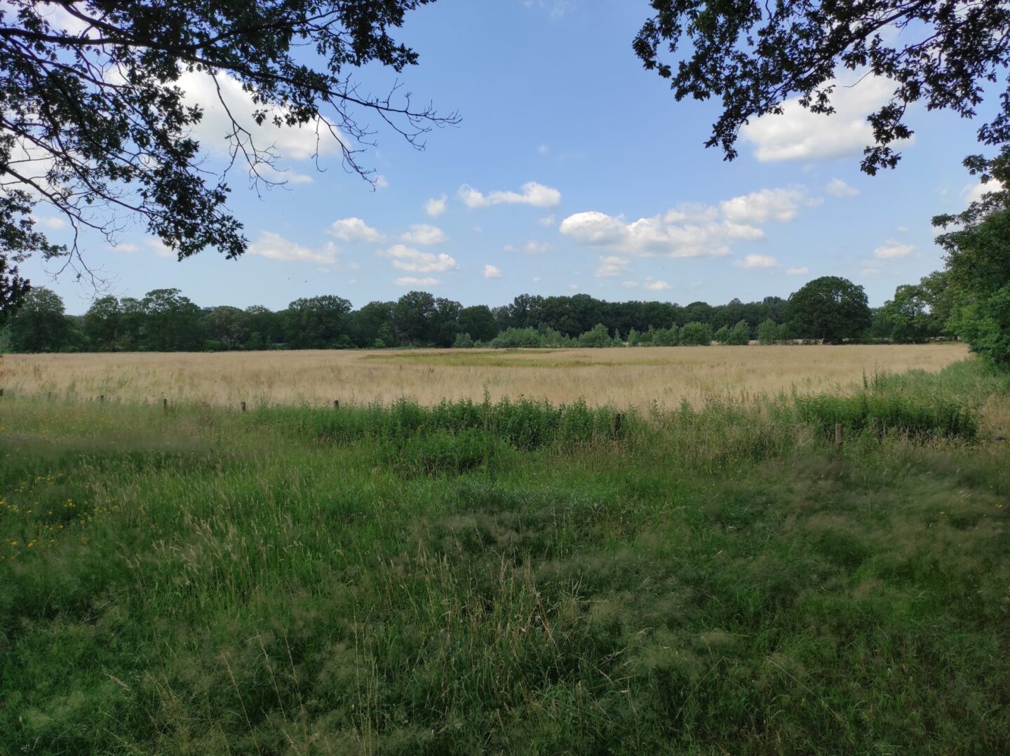 Voedselbos-Baarle-Nassau