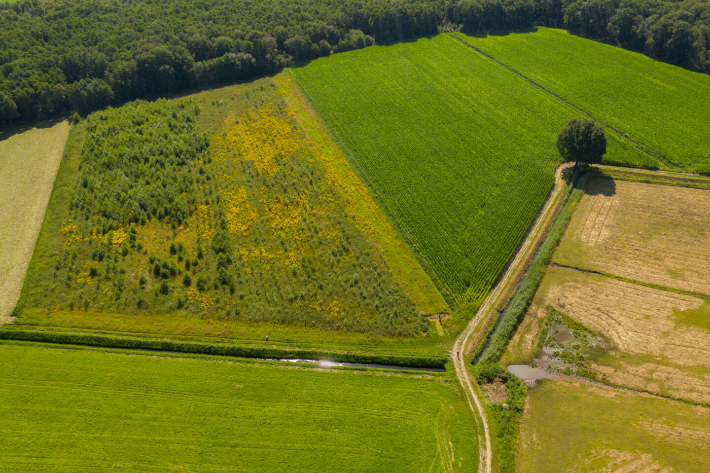 Sang-Goorkens-luchtfoto