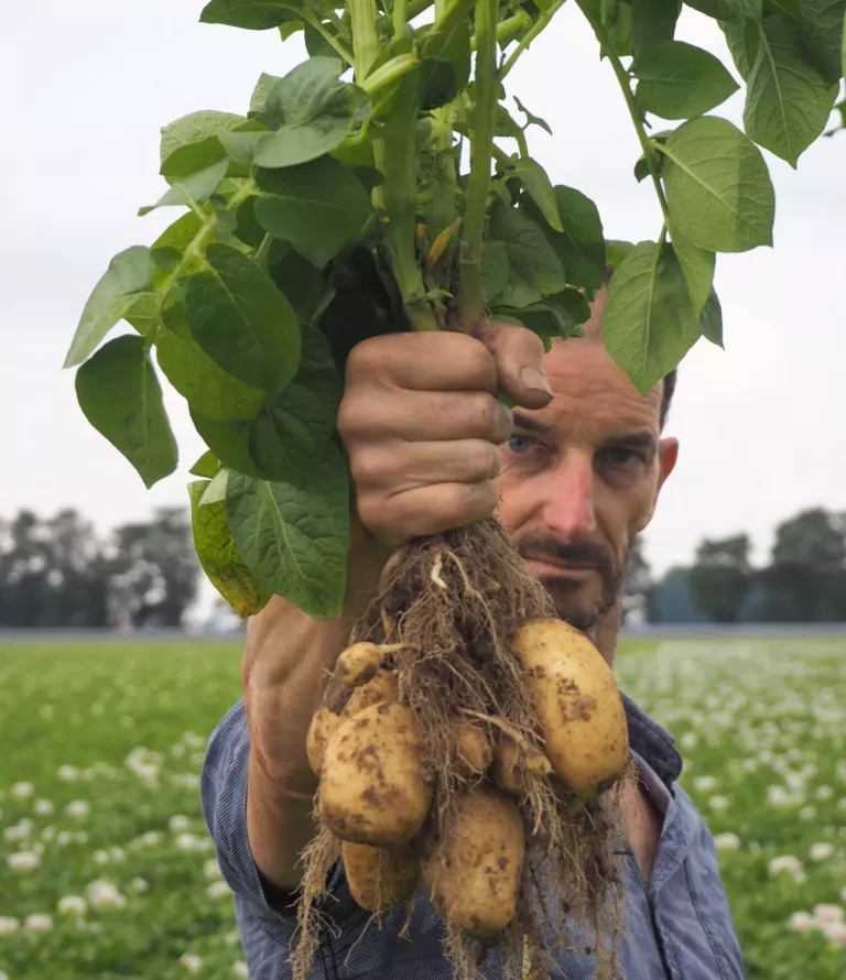 Voedselbos Zonnegoed | Voedselbos op biodynamische boerderij in Flevoland