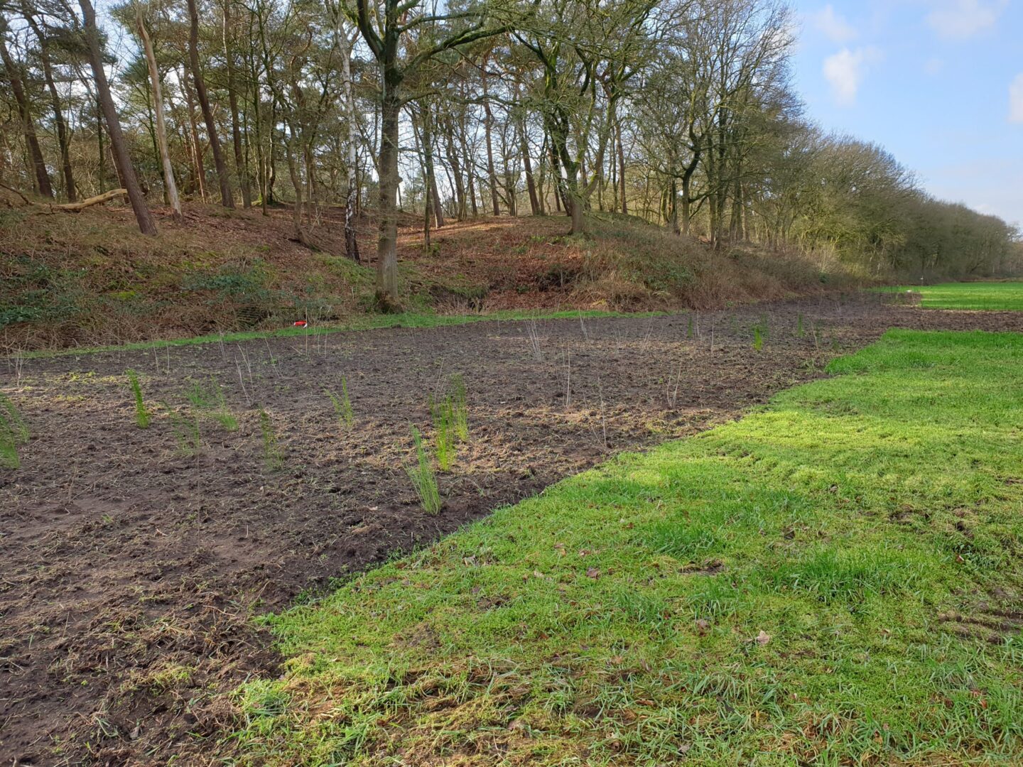Natuurbegraafplaats-Koolwijk