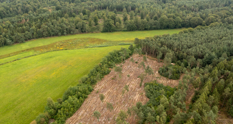 Overijssel |  Aanplanten gemengd loofbos