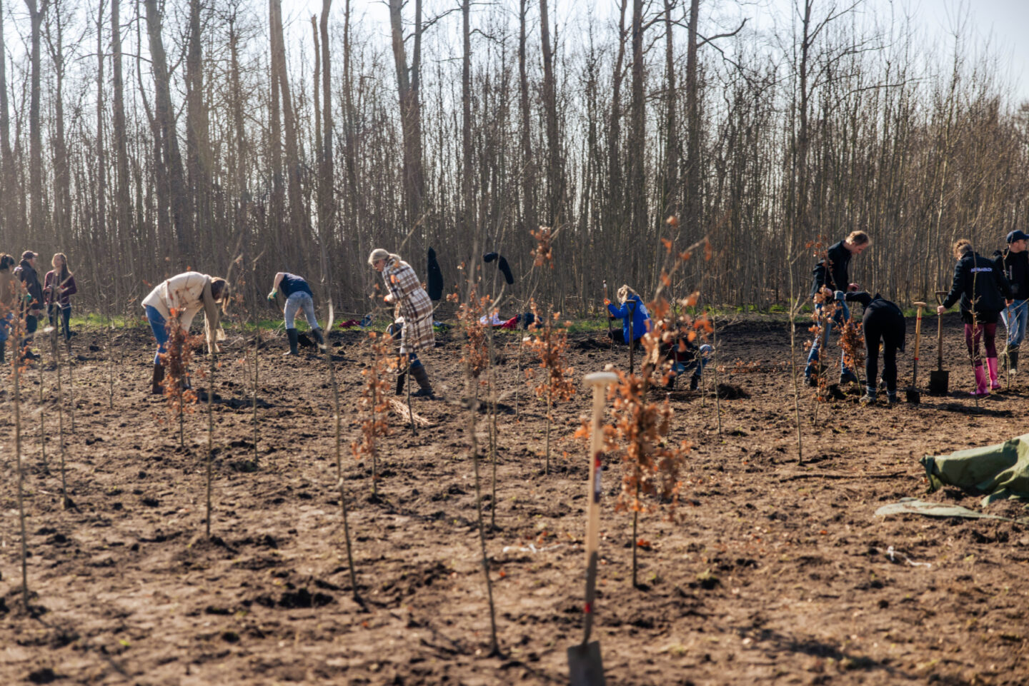 boomplantdag-overijssel