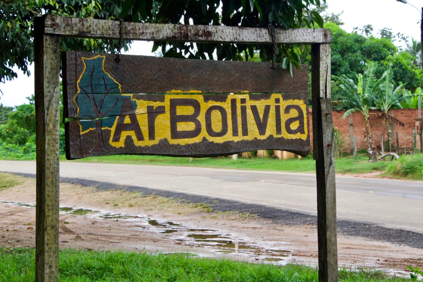 arbolivia