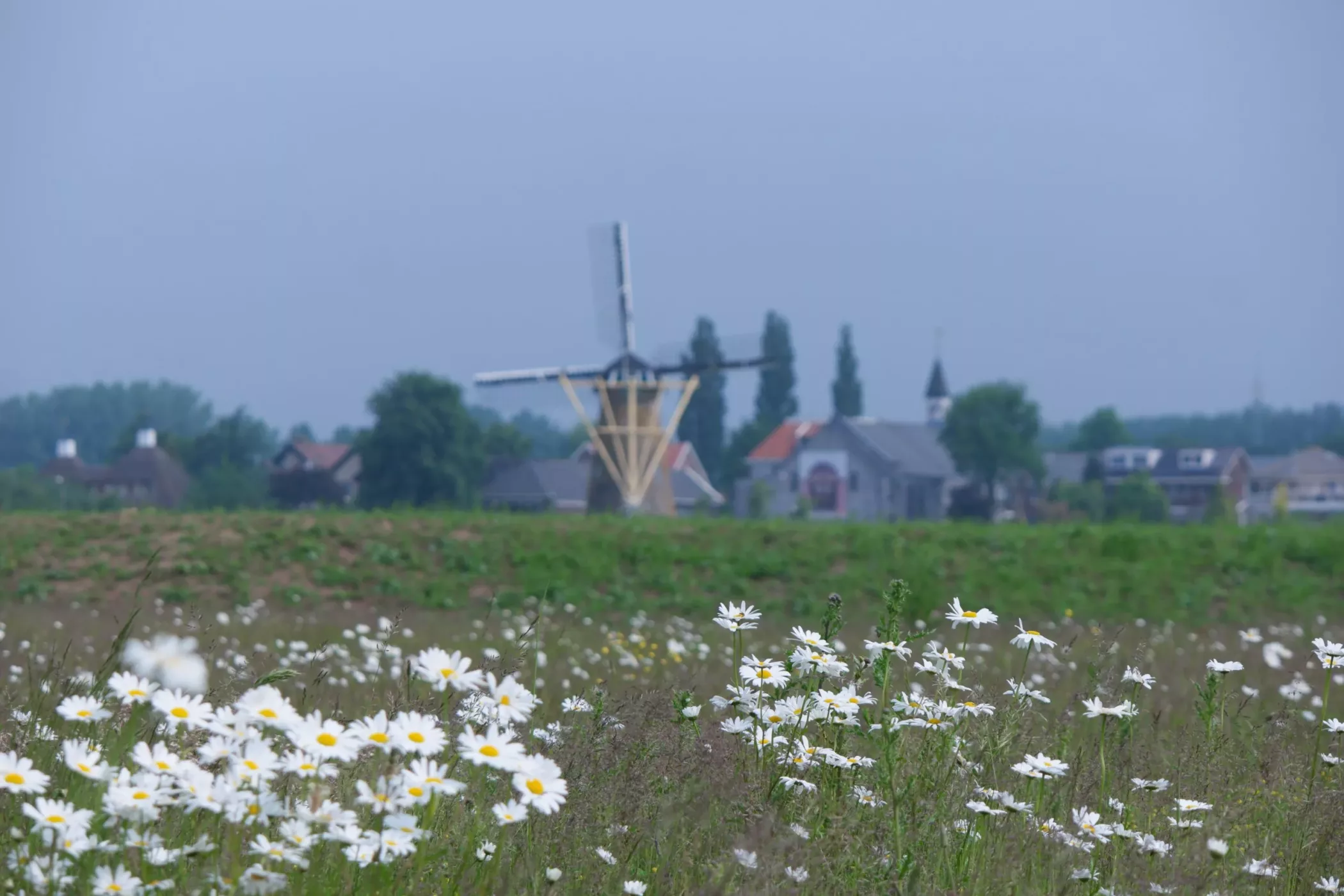 waalbos