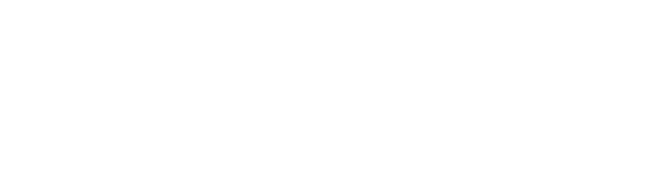 Plan-vivo-logo