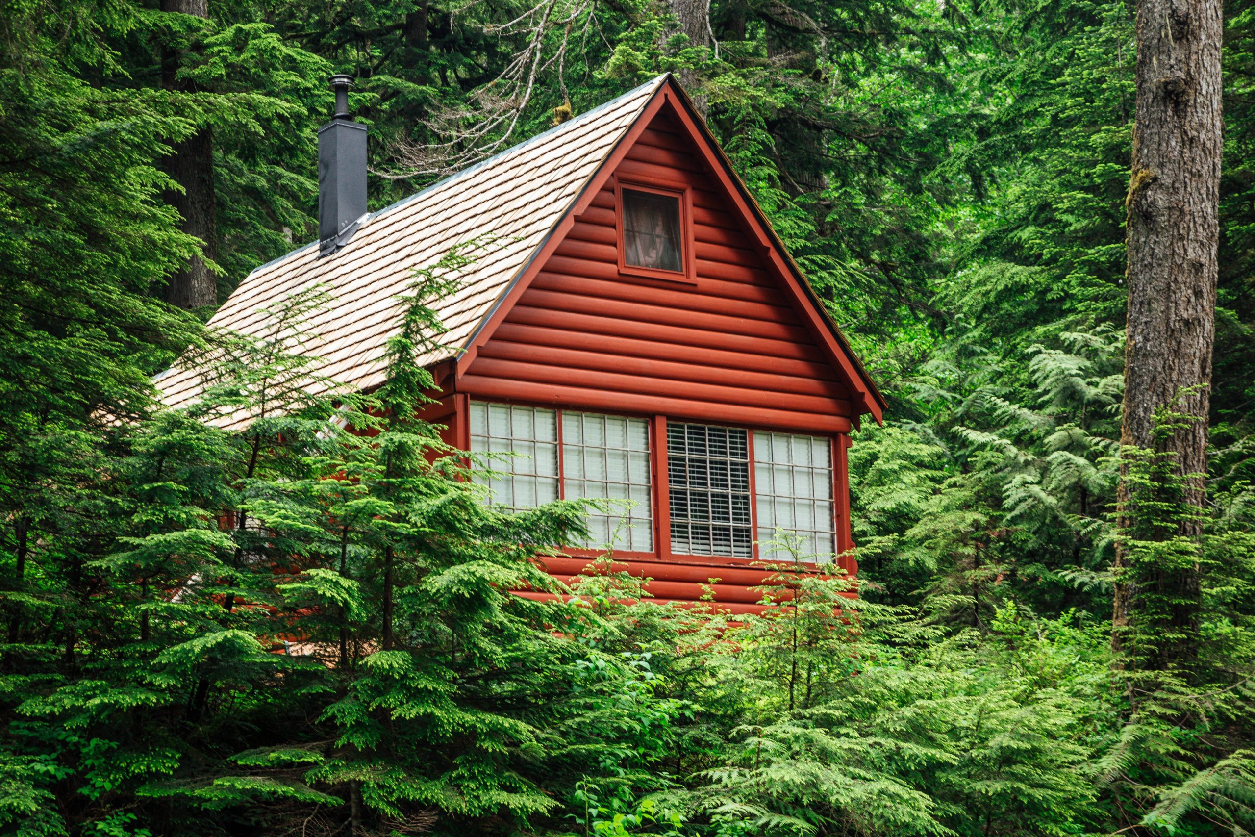 Tree building. Домик Кэбин США. Хижина гномов, Британская Колумбия. Домик в лесу. Дом в лесу.