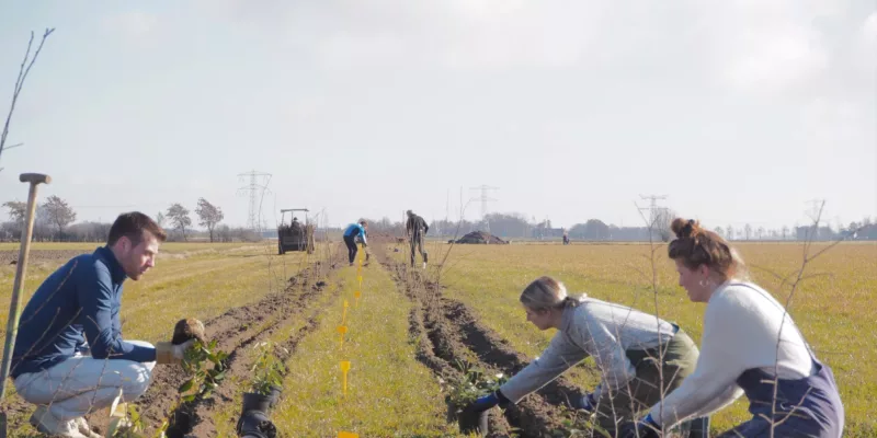 Food forest Zonnegoed | Food forest at biodynamic farm in Flevoland