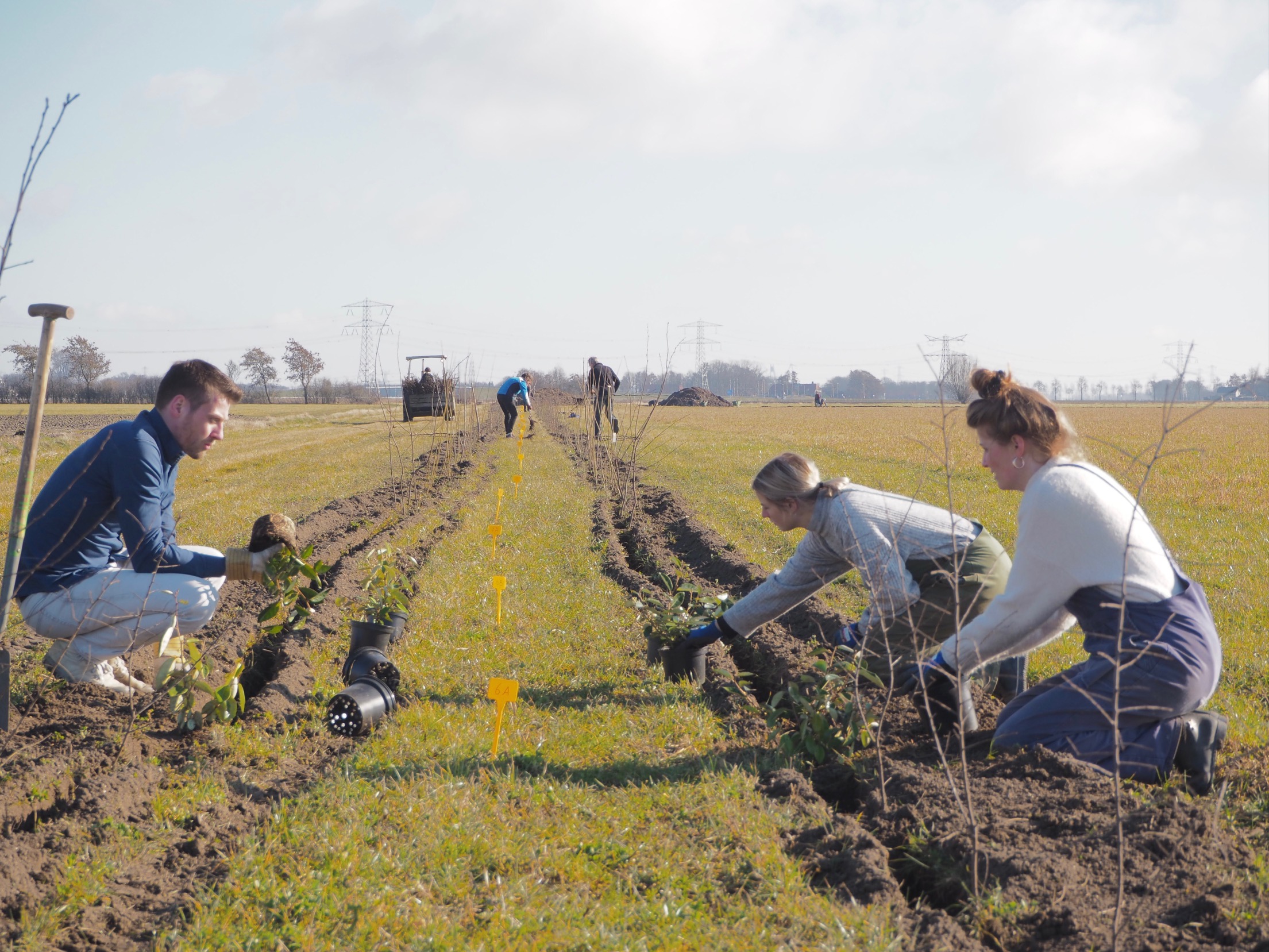 Learn more about biodynamic agriculture and food forest in