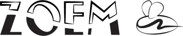 ZOEM.bike logo