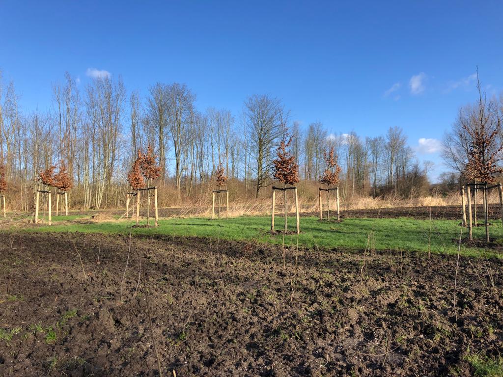 aanplant-vliegerpark-almere