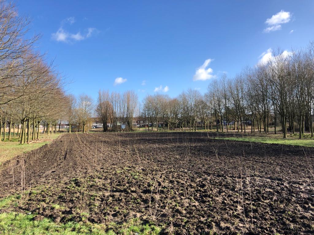aanplant-vliegerpark-almere