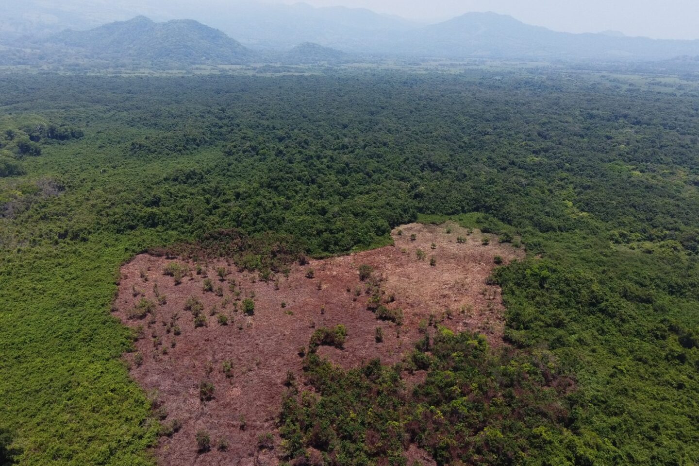 plantlocatie-los-tuxtlas