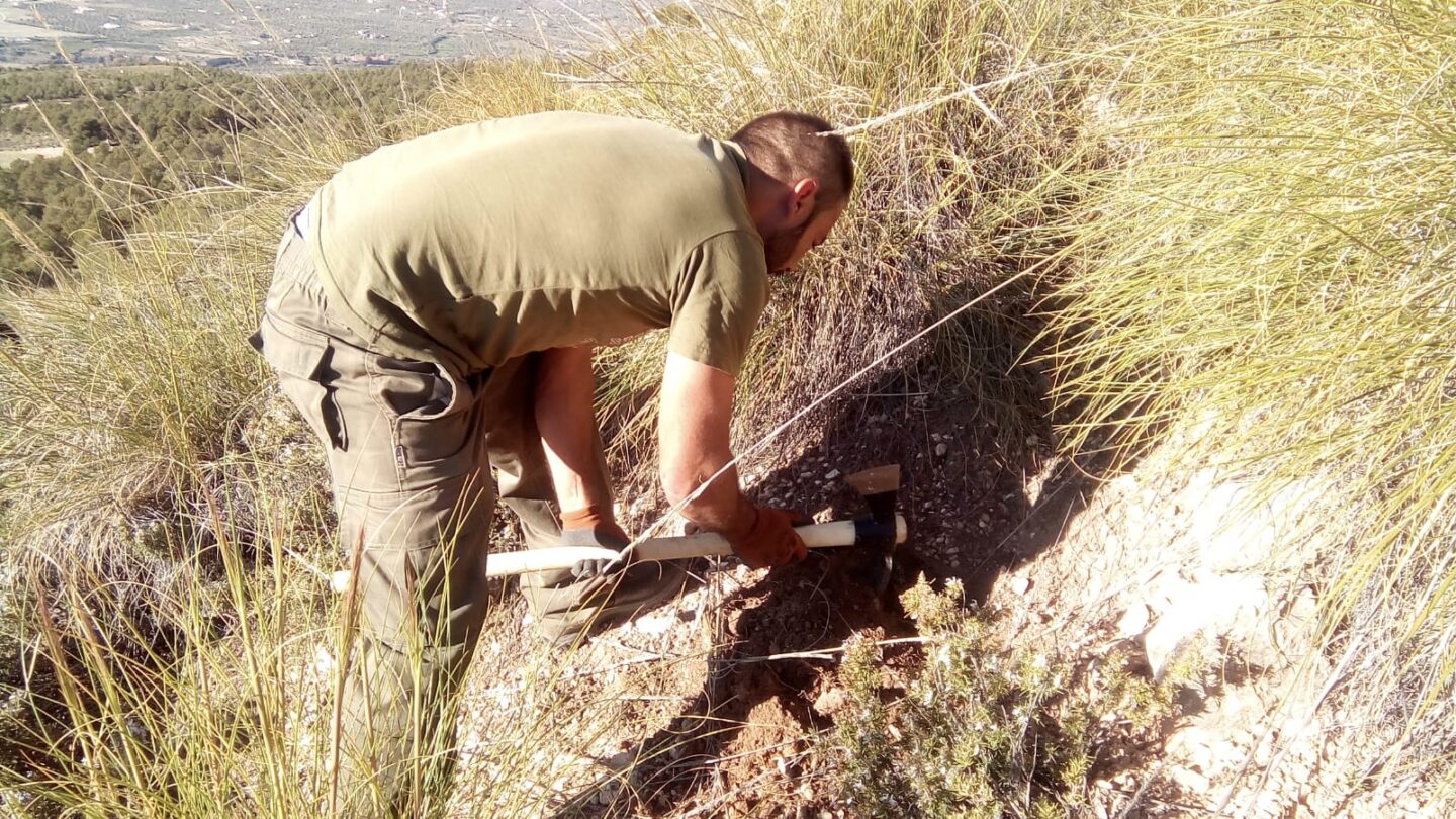 Herstel ecosysteem Spanje