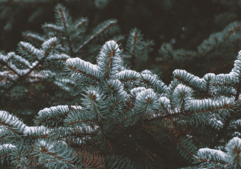 Kerst