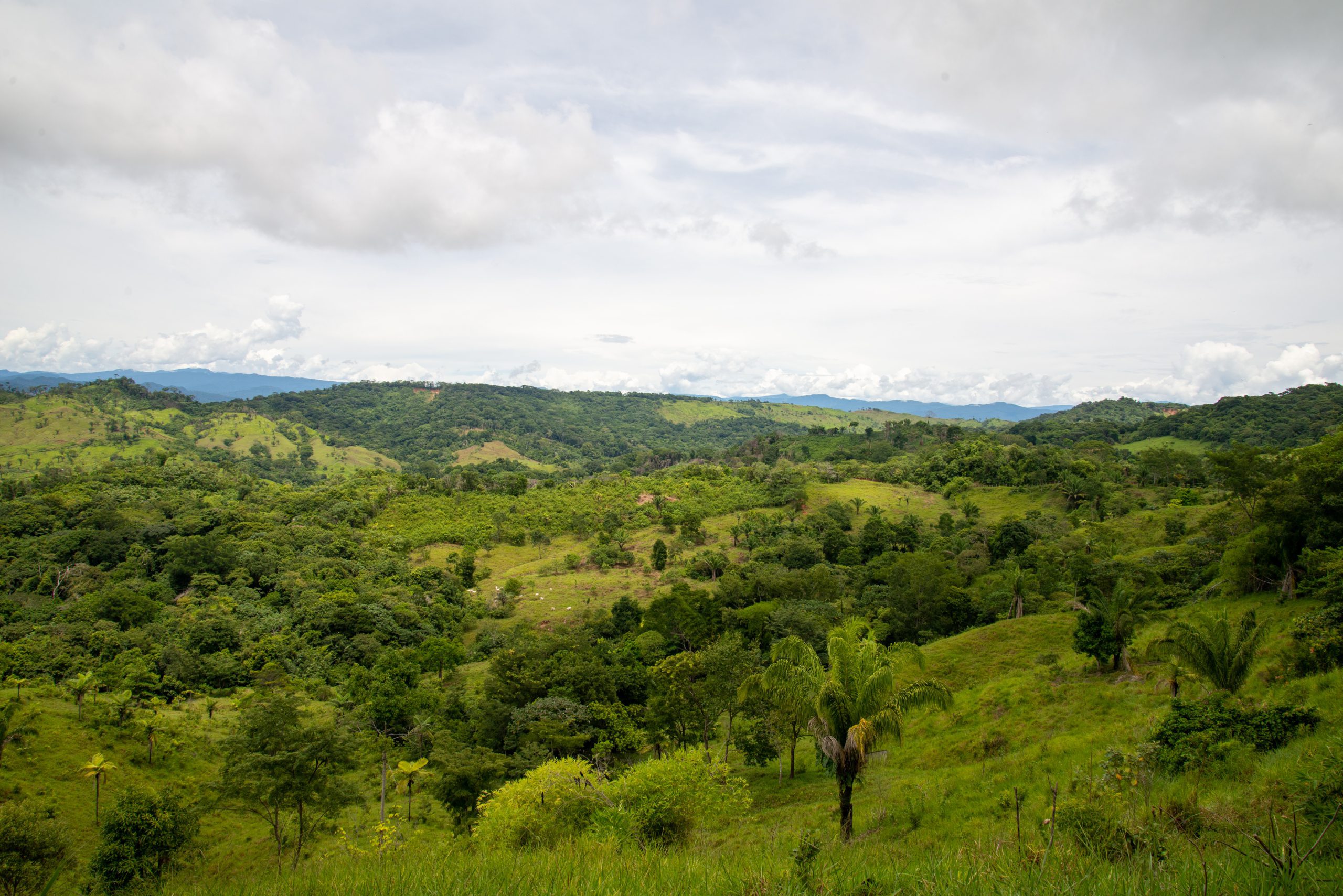 Op veldbezoek in Bolivia | Trees for All