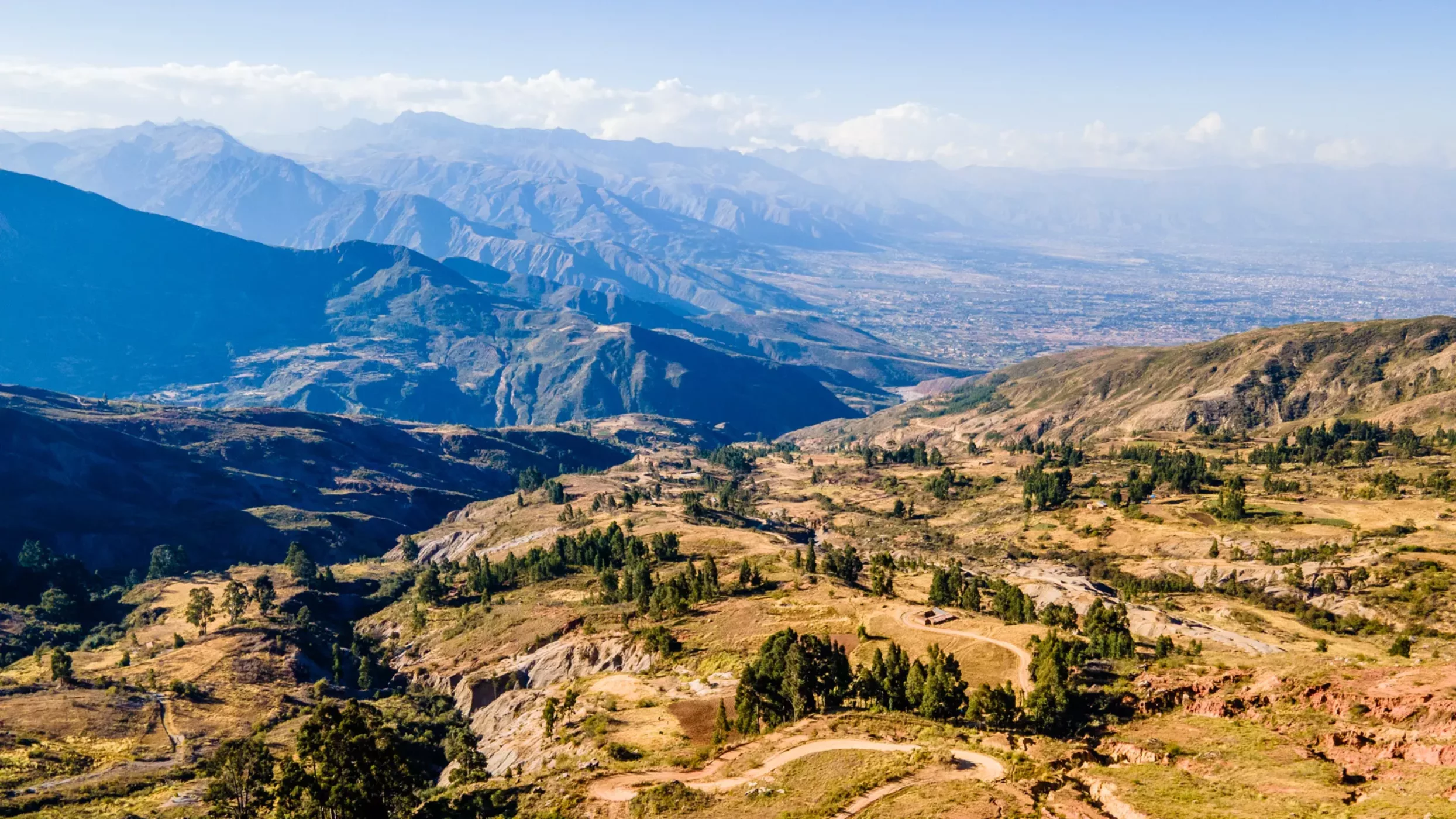 herbebossing-andes