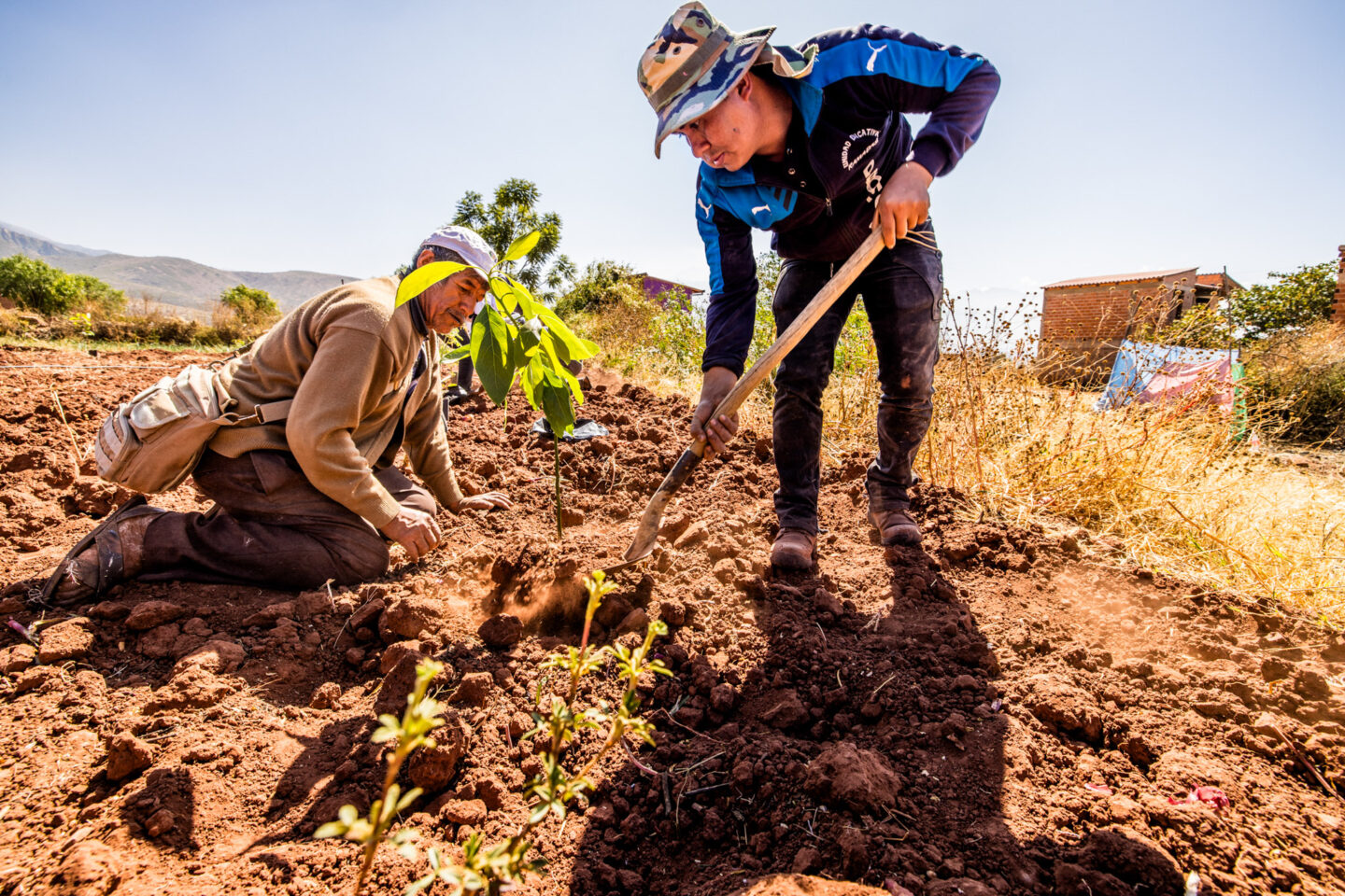 agroforestry-bolivia