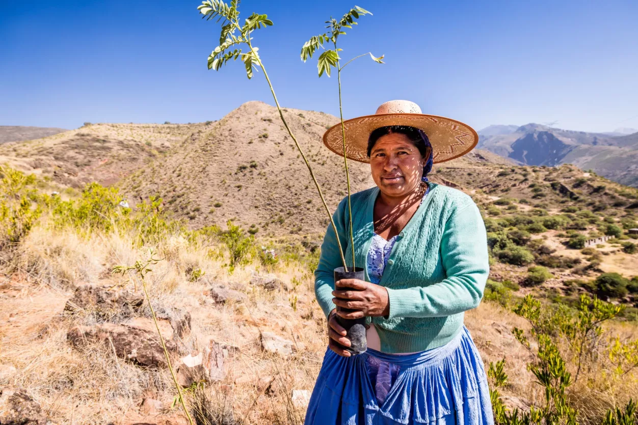 herbebossing-bolivia