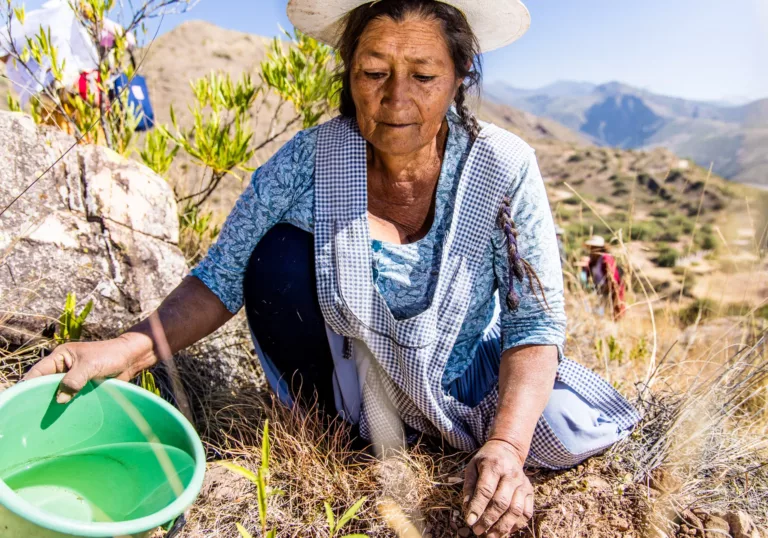 Studie laat zien: bomen kunnen de waterbeschikbaarheid in Bolivia verdrievoudigen