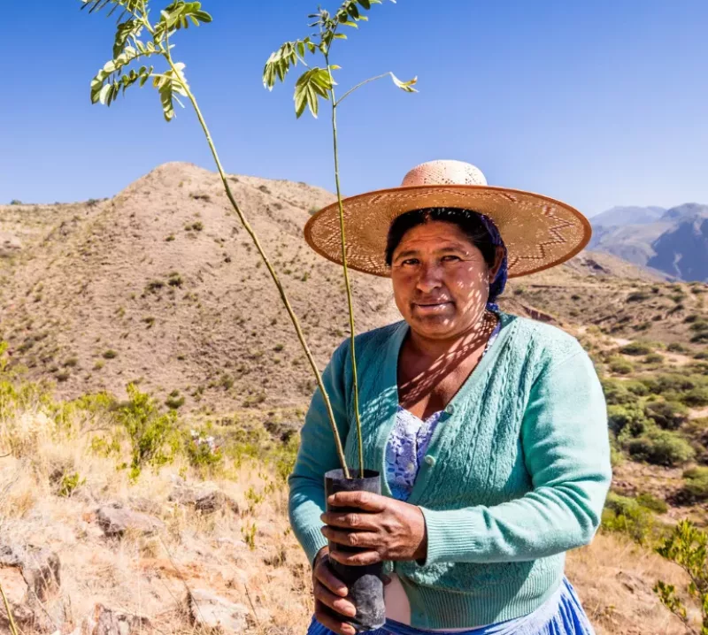 Bolivia | Herbebossing en agroforestry voor meer water in de Andes 
