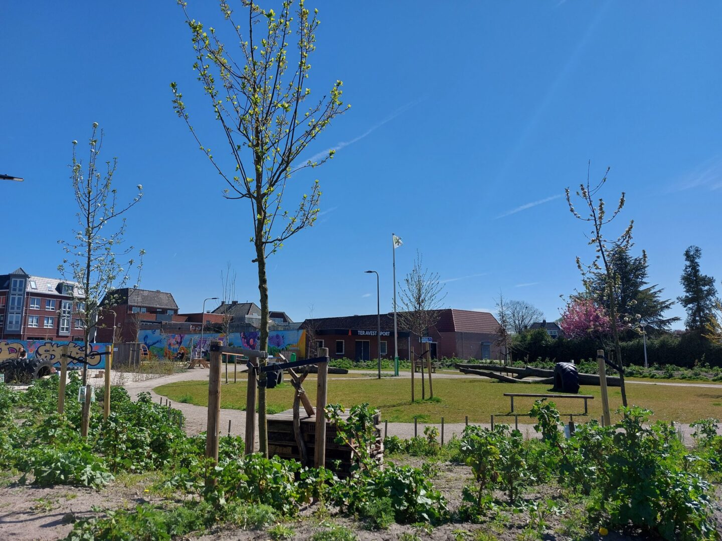 Dorpspark The GAP in bloei