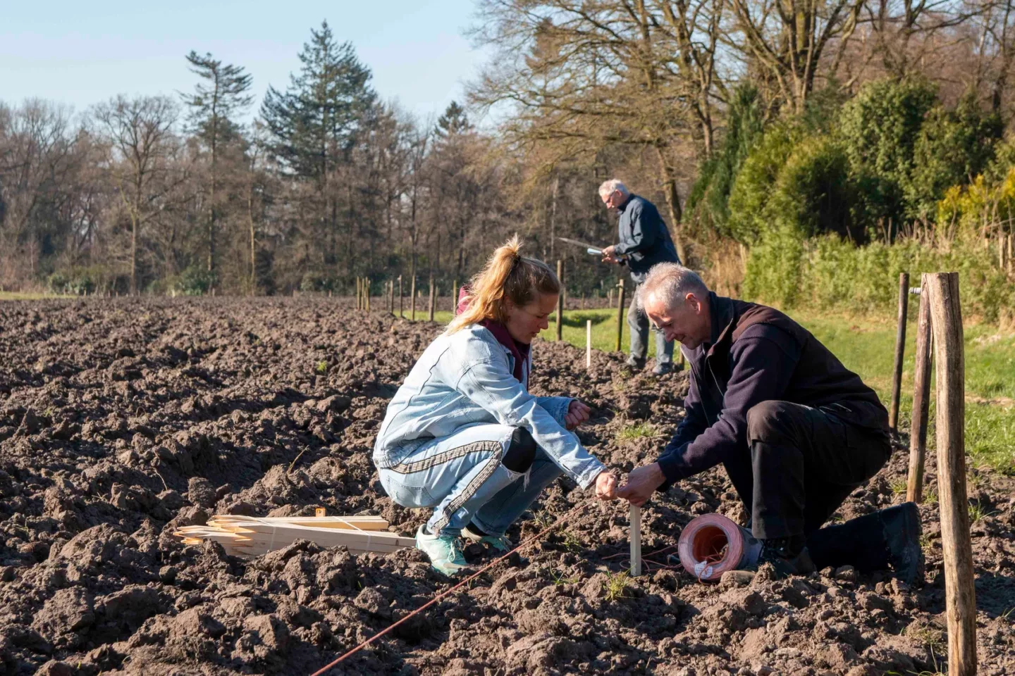 Planten in Voedselbos Lage Mierde