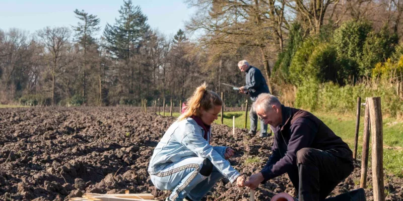 Voedselbos Lage Mierde | Een bos om op te eten