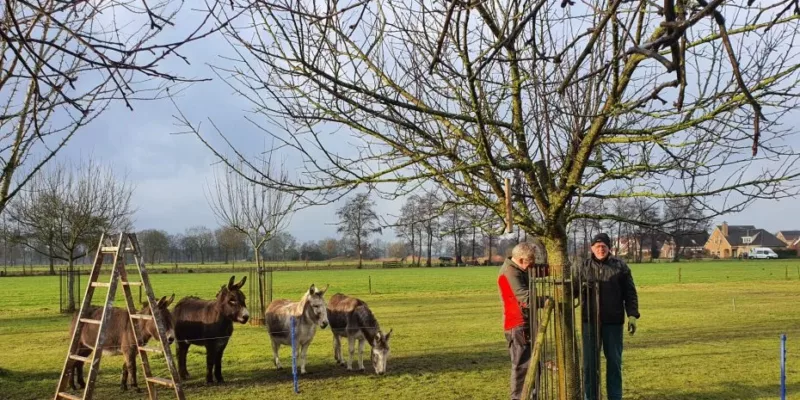 Natuurboerderij BalkInn | Een educatieve natuurboerderij