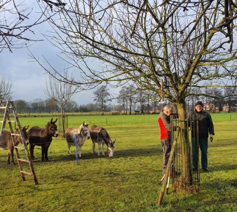 Natuurboerderij BalkInn | Een educatieve natuurboerderij