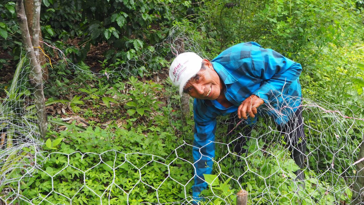 Boer Salvador Hernandez