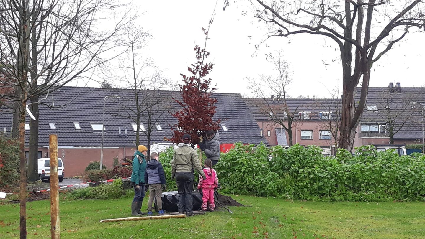 Bomen planten in the GAP