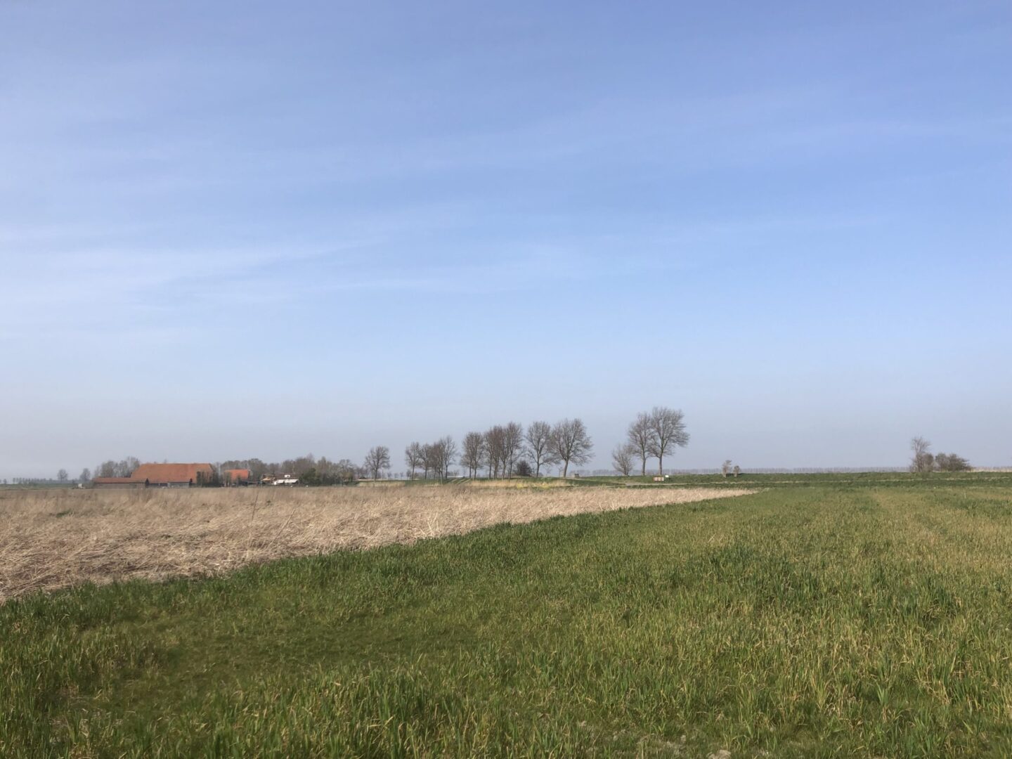 Perceel voedselbos Lust en Last