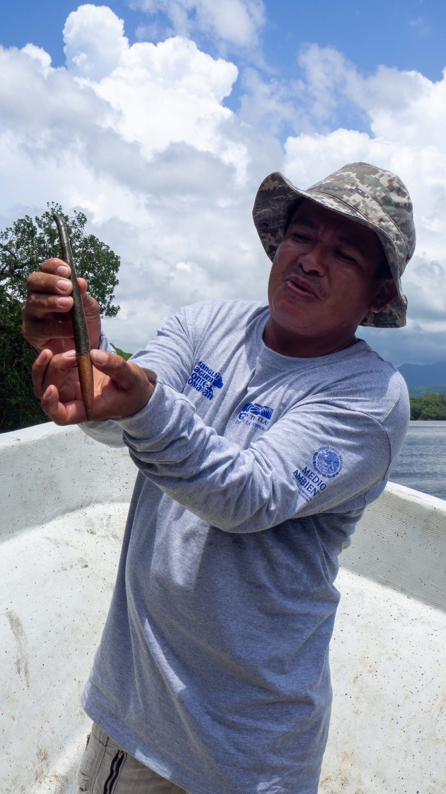 mexico-mangrove-kiemplantje