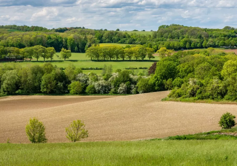 Greening the countryside