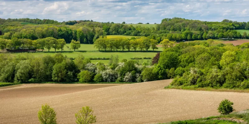 Greening the countryside | Planting trees and shrubs 