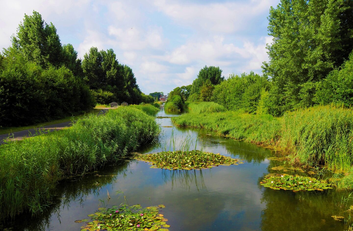 groenblauwe landschapselementen