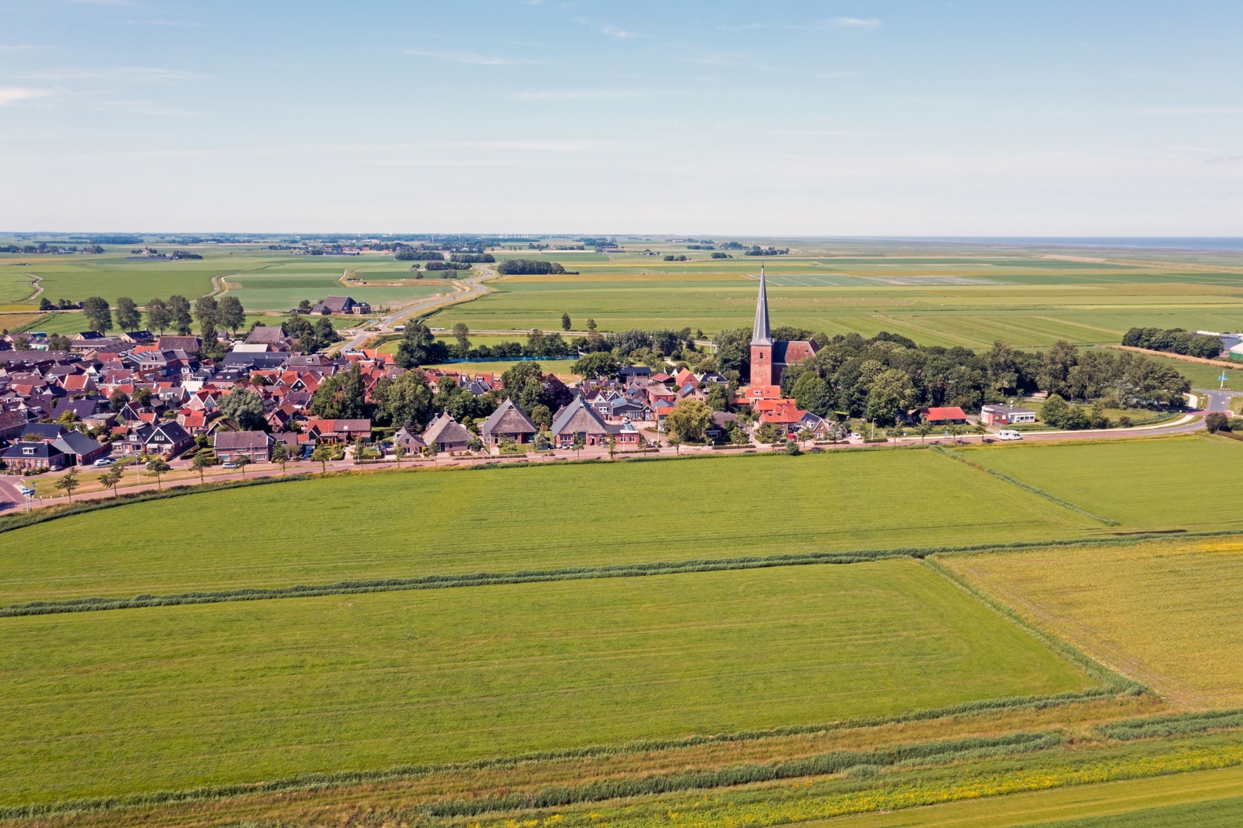 Reinforcing the unique Frisian landschape | Trees for All