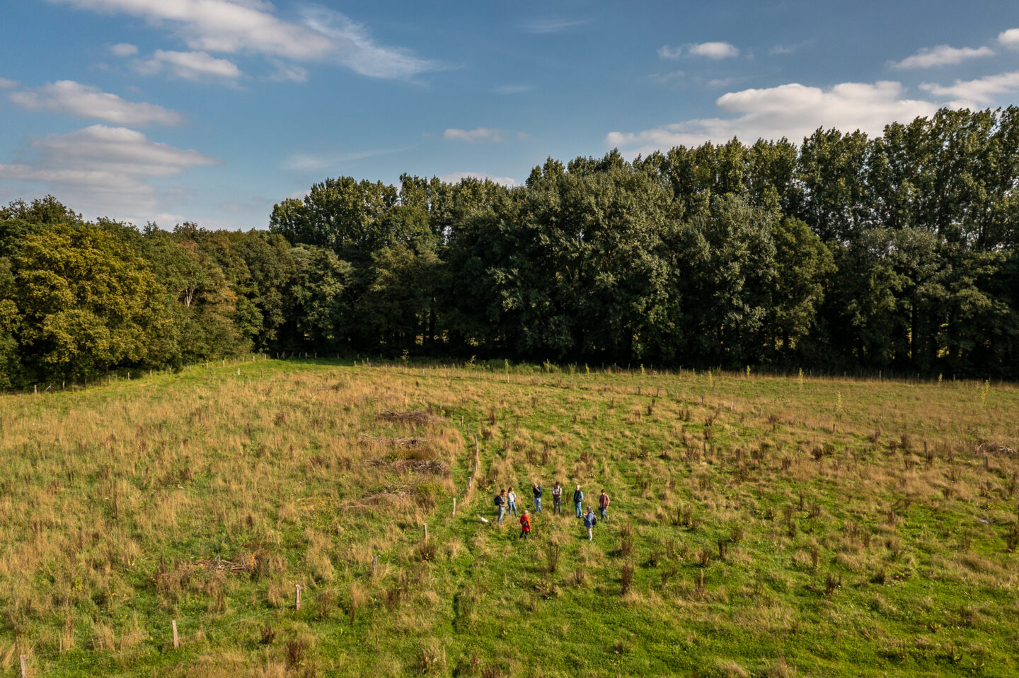 perceel-voor-aanplant