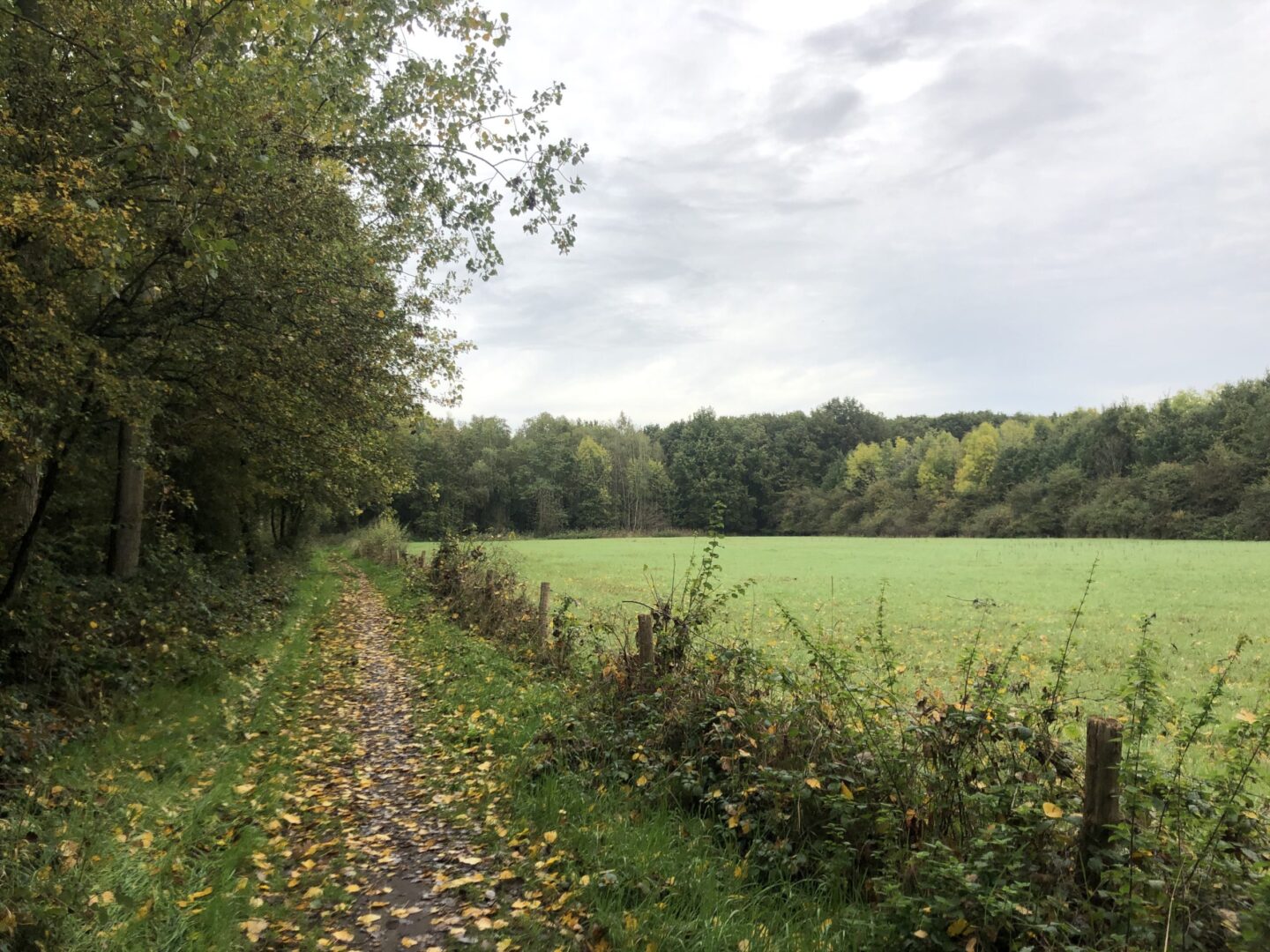 Plantlocatie Noord-Brabant plantlocatie-noord-brabant