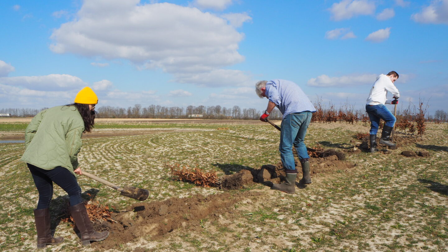 Plantdag voedselbos Zonnegoed
