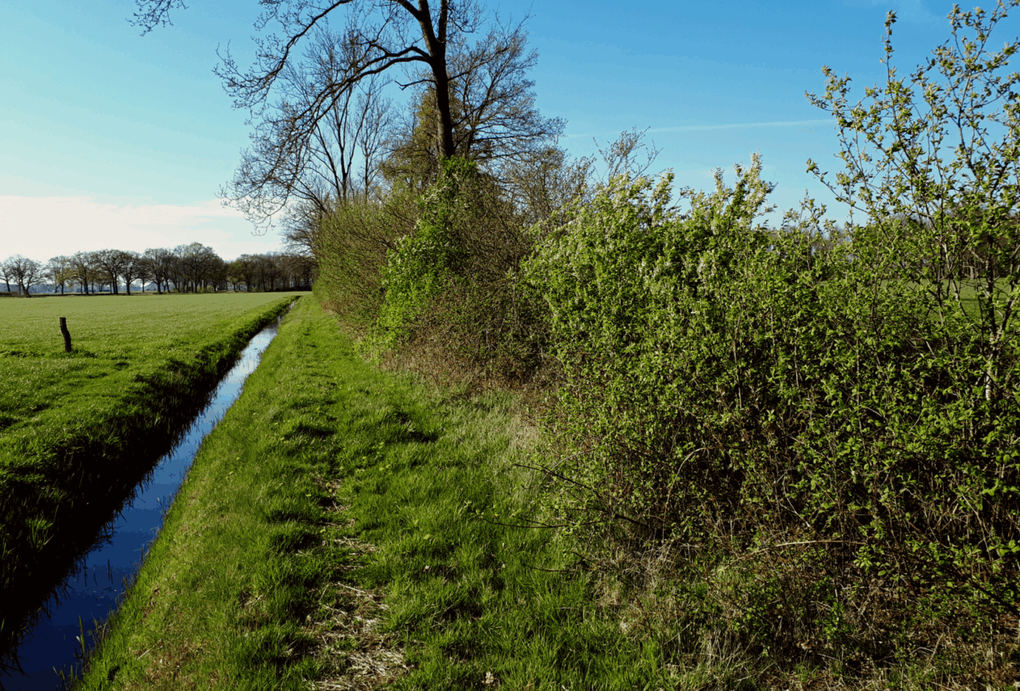 3 houtsingel