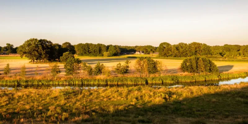 Landschapselementen Overijssel | Een groen en duurzaam platteland