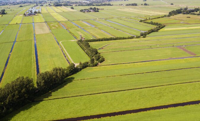 Groene erven in Utrecht dankzij 16.000 bomen en struiken: resultaten 2023-2024